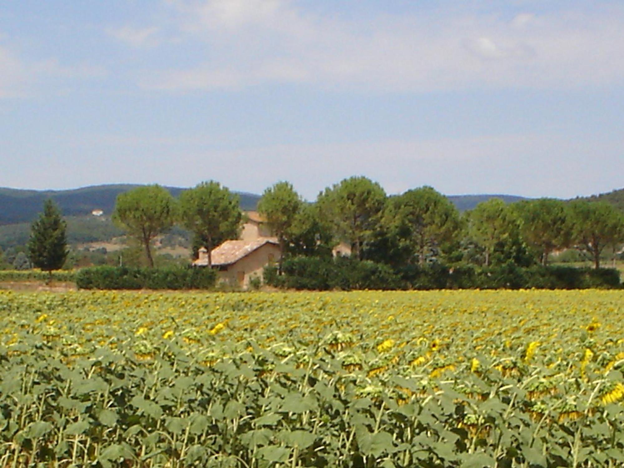 Gasthaus Casale Il Colombaio Di Toiano Valli Exterior foto